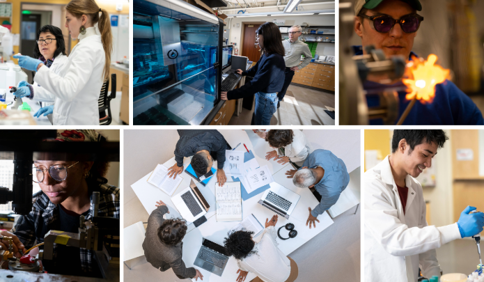 researchers
